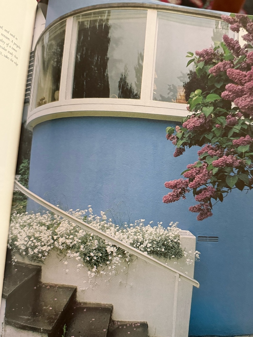 Scandinavia Living Design by Elizabeth Gaynor - Picture 6 of 9